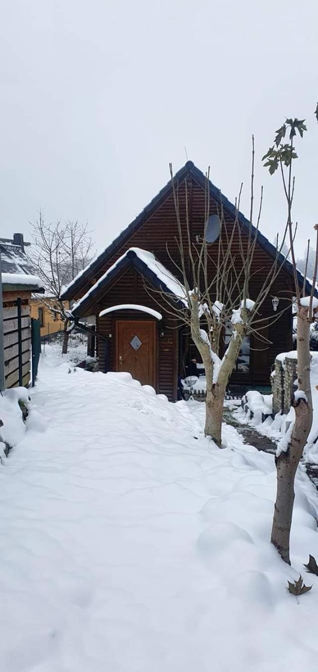 Ferienhaus-Wurzbach Eksteriør billede
